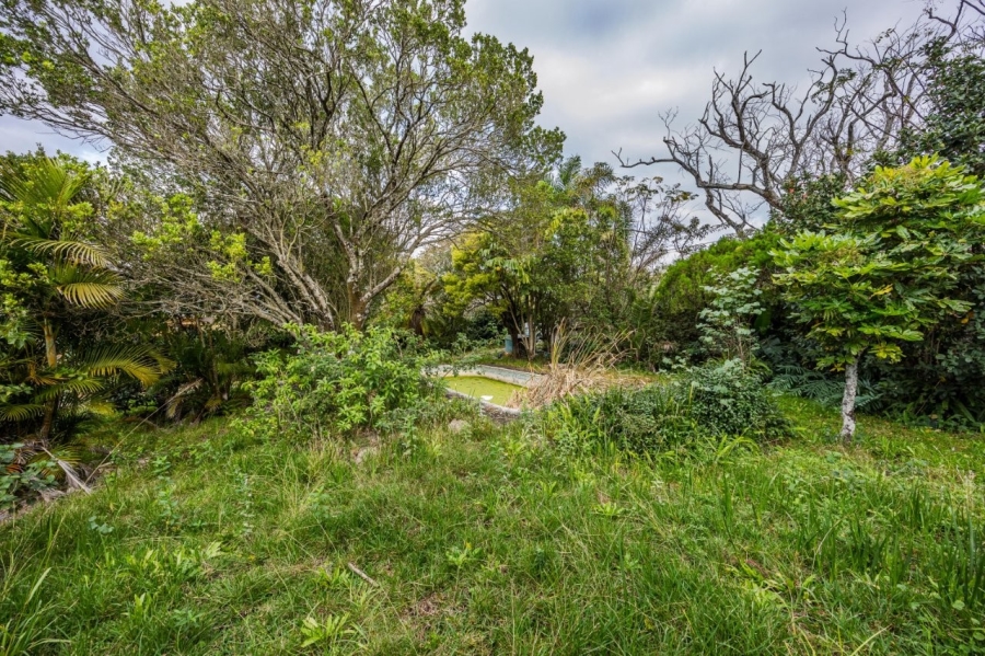 4 Bedroom Property for Sale in Selborne Eastern Cape